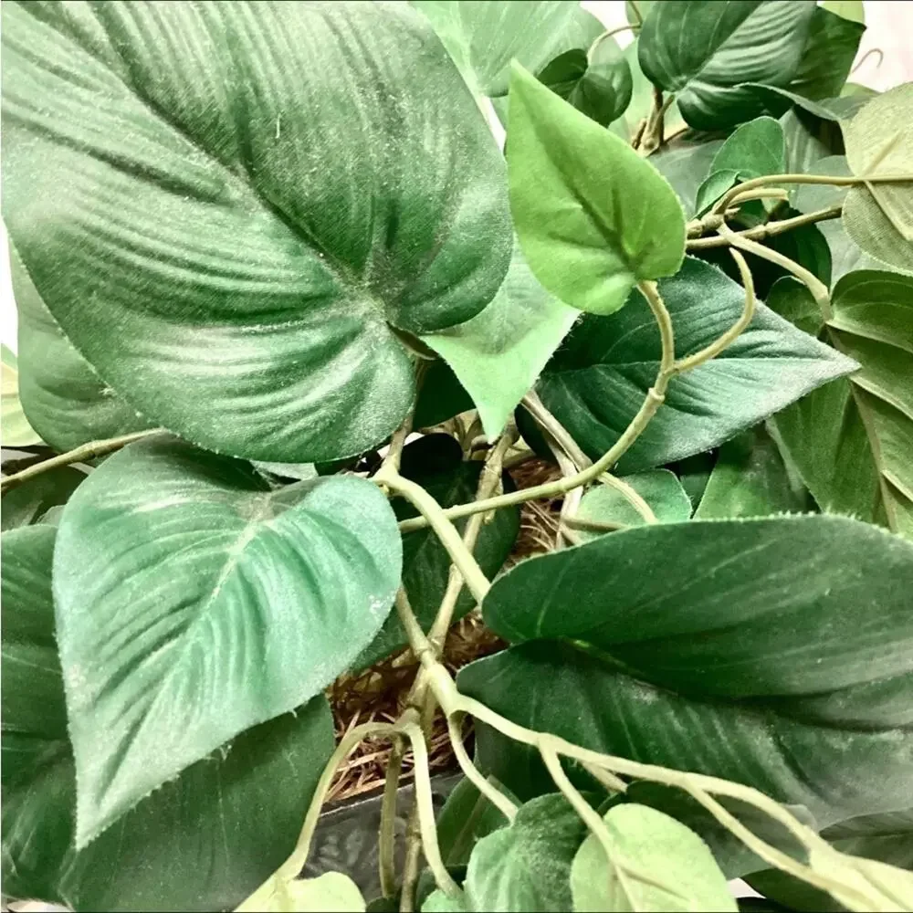 Artificial Pothos Plant in a Pot